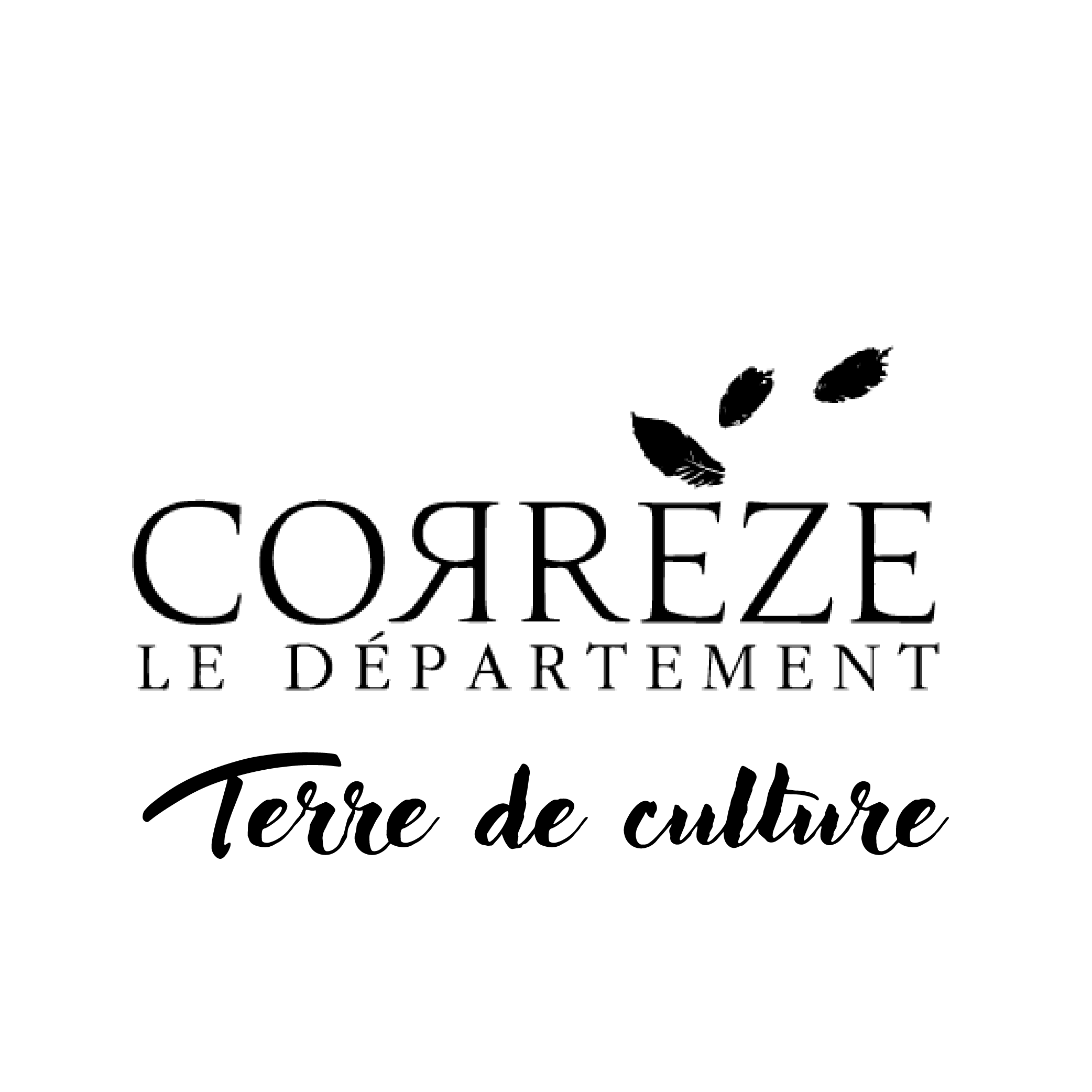 logo-partenaires_Plan de travail 1 copie 2